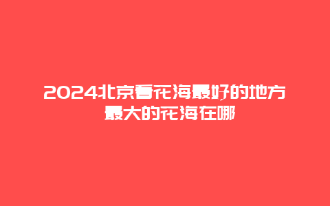 2024北京看花海最好的地方 最大的花海在哪