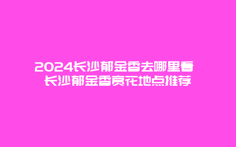 2024长沙郁金香去哪里看 长沙郁金香赏花地点推荐