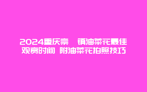 2024重庆崇龛镇油菜花最佳观赏时间 附油菜花拍照技巧