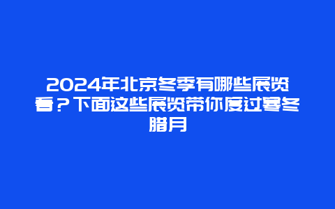 2024年北京冬季有哪些展览看？下面这些展览带你度过寒冬腊月