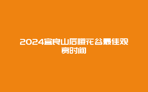 2024宜良山后樱花谷最佳观赏时间