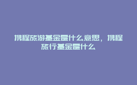 携程旅游基金是什么意思，携程旅行基金是什么