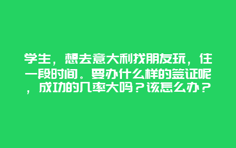 学生，想去意大利找朋友玩，住一段时间。要办什么样的签证呢，成功的几率大吗？该怎么办？