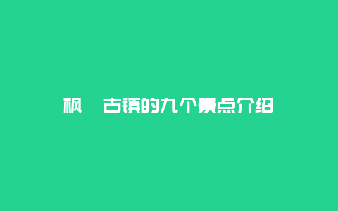 枫泾古镇的九个景点介绍