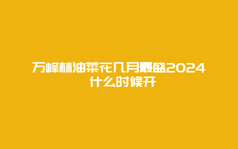 万峰林油菜花几月最盛2024 什么时候开