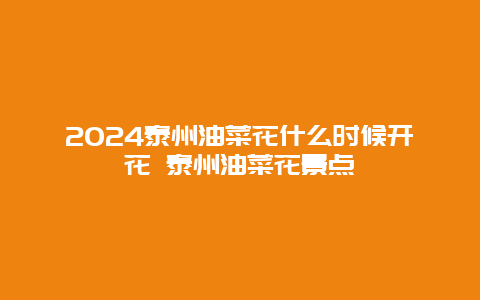 2024泰州油菜花什么时候开花 泰州油菜花景点