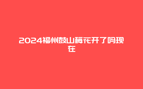 2024福州鼓山梅花开了吗现在