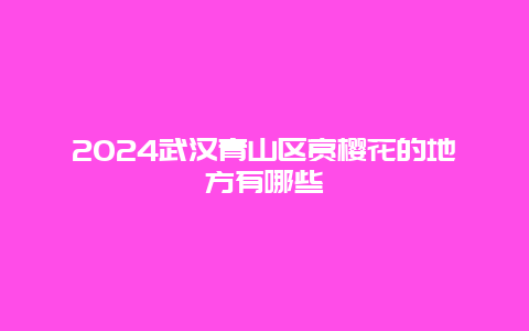 2024武汉青山区赏樱花的地方有哪些