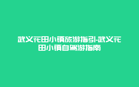 武义花田小镇旅游指引-武义花田小镇自驾游指南