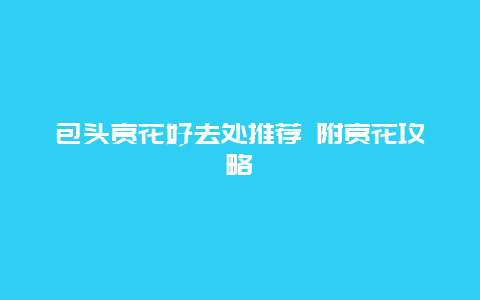 包头赏花好去处推荐 附赏花攻略