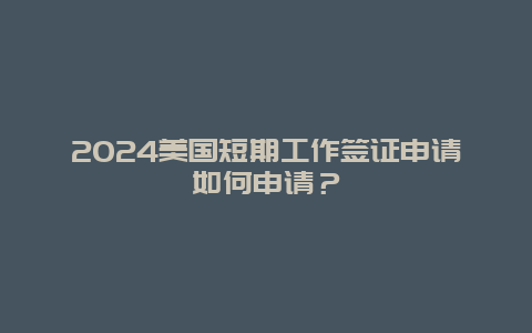 2024美国短期工作签证申请如何申请？