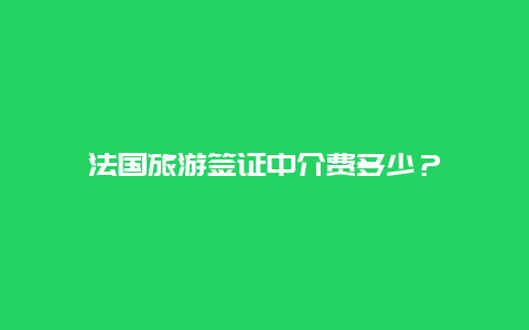 法国旅游签证中介费多少？