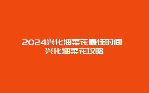 2024兴化油菜花最佳时间 兴化油菜花攻略