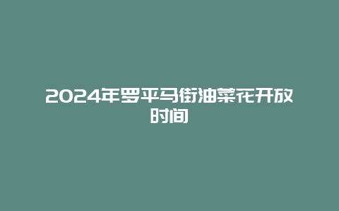 2024年罗平马街油菜花开放时间