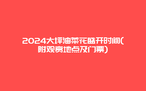 2024大坪油菜花盛开时间(附观赏地点及门票)