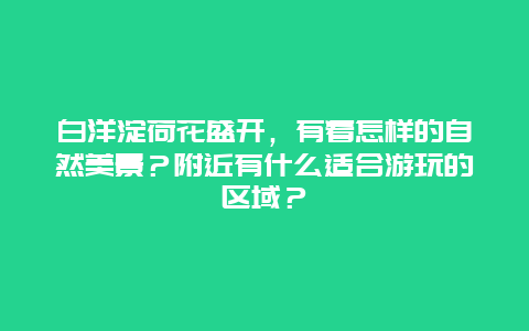 白洋淀荷花盛开，有着怎样的自然美景？附近有什么适合游玩的区域？