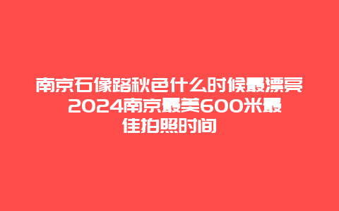 南京石像路秋色什么时候最漂亮 2024南京最美600米最佳拍照时间