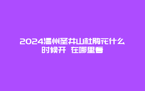 2024温州圣井山杜鹃花什么时候开 在哪里看