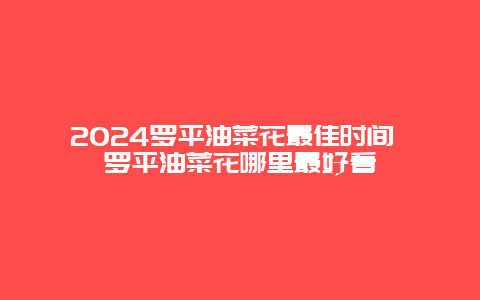 2024罗平油菜花最佳时间 罗平油菜花哪里最好看