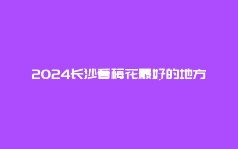 2024长沙看梅花最好的地方