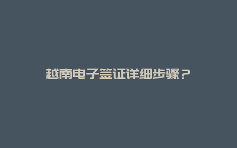 越南电子签证详细步骤？