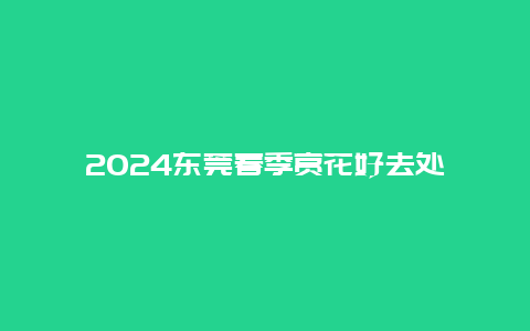 2024东莞春季赏花好去处