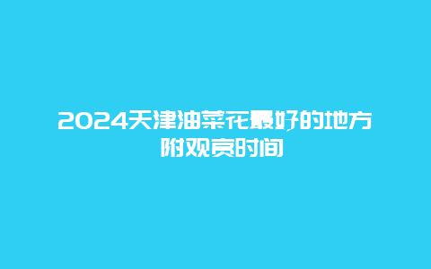 2024天津油菜花最好的地方 附观赏时间