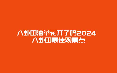 八卦田油菜花开了吗2024 八卦田最佳观景点