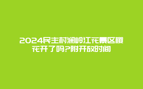 2024民主村澜岭江花景区樱花开了吗?附开放时间