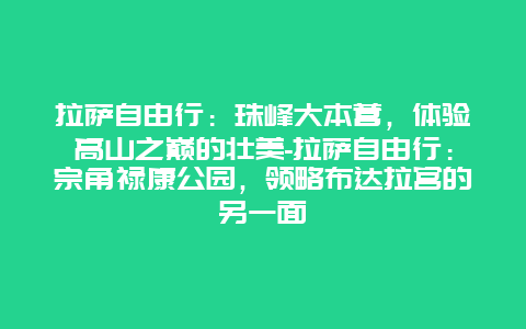 拉萨自由行：珠峰大本营，体验高山之巅的壮美-拉萨自由行：宗角禄康公园，领略布达拉宫的另一面