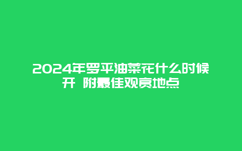 2024年罗平油菜花什么时候开 附最佳观赏地点