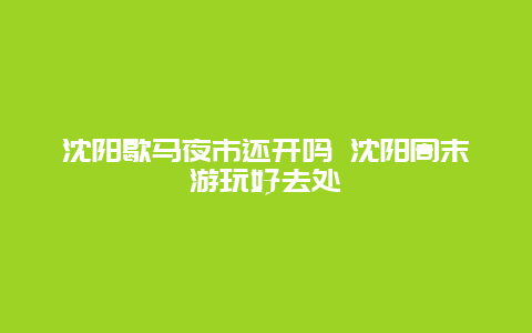 沈阳歇马夜市还开吗 沈阳周末游玩好去处