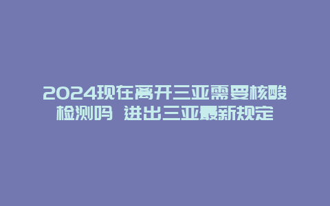 2024现在离开三亚需要核酸检测吗 进出三亚最新规定