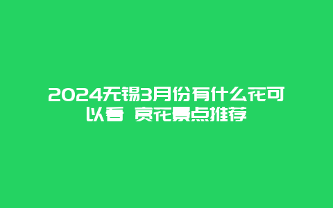 2024无锡3月份有什么花可以看 赏花景点推荐