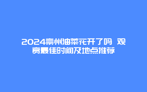 2024崇州油菜花开了吗 观赏最佳时间及地点推荐