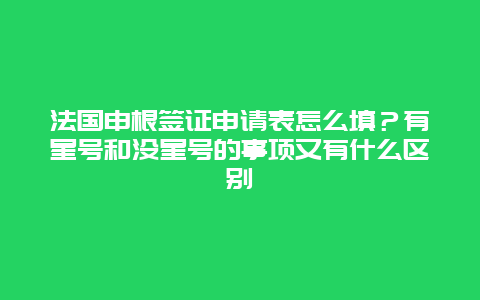 法国申根签证申请表怎么填？有星号和没星号的事项又有什么区别