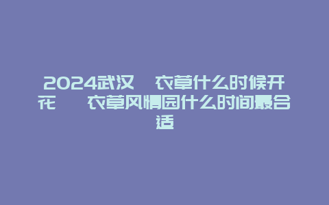 2024武汉薰衣草什么时候开花 薰衣草风情园什么时间最合适