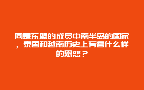 同是东盟的成员中南半岛的国家，泰国和越南历史上有着什么样的恩怨？