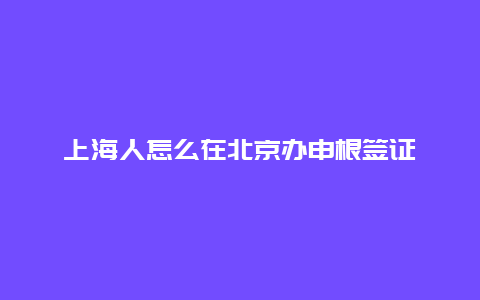 上海人怎么在北京办申根签证