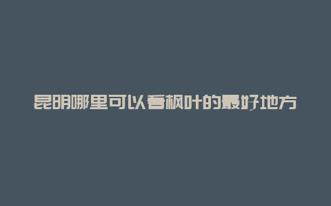 昆明哪里可以看枫叶的最好地方