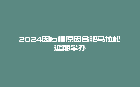 2024因疫情原因合肥马拉松延期举办