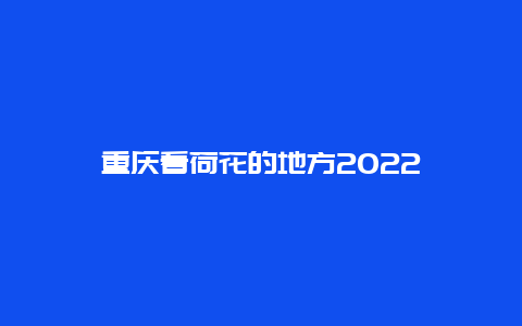 重庆看荷花的地方2022