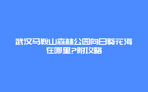 武汉马鞍山森林公园向日葵花海在哪里?附攻略