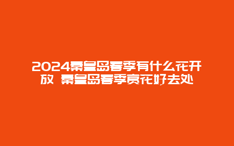 2024秦皇岛春季有什么花开放 秦皇岛春季赏花好去处