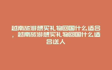 越南旅游想买礼物回国什么适合，越南旅游想买礼物回国什么适合送人