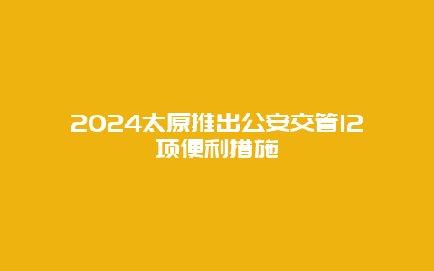 2024太原推出公安交管12项便利措施