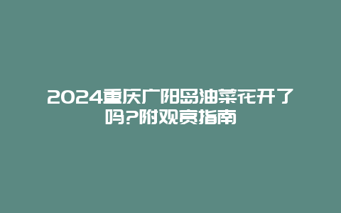 2024重庆广阳岛油菜花开了吗?附观赏指南