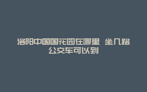 洛阳中国国花园在哪里 坐几路公交车可以到