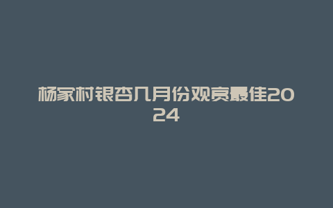 杨家村银杏几月份观赏最佳2024