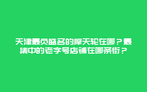 天津最负盛名的摩天轮在哪？最集中的老字号店铺在哪条街？